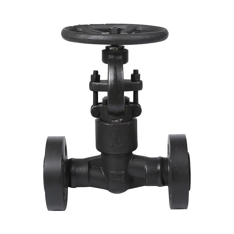 American Standard Hard Seal Forged Steel Globe Valve